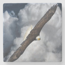 Soaring Bald Eagle and Cloudy Sky