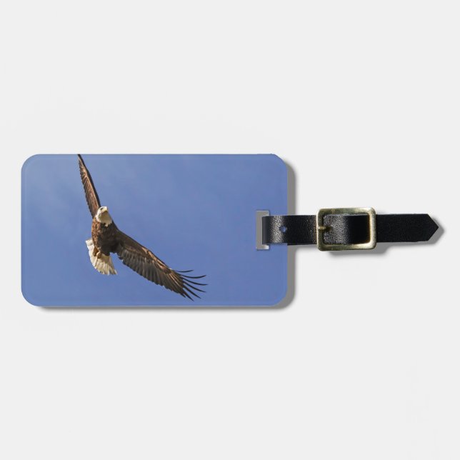 Soaring Bald Eagle Luggage Tag (Front Horizontal)