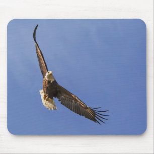 Soaring Bald Eagle Mouse Pad