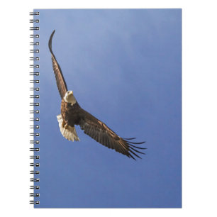 Soaring Bald Eagle Notebook