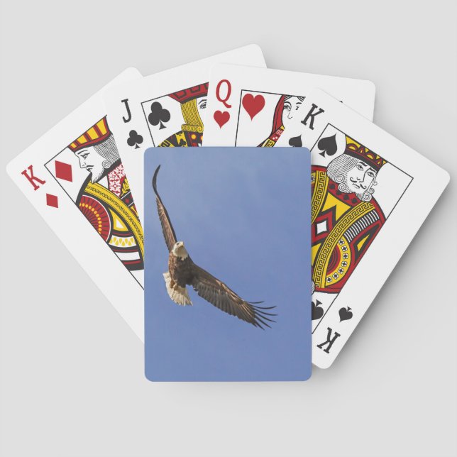 Soaring Bald Eagle Playing Cards (Back)