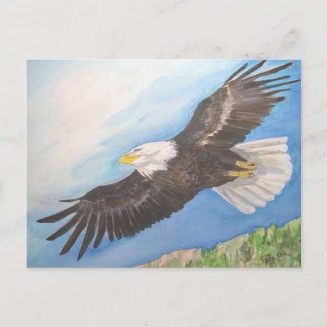 Soaring Bald Eagle Postcard (Front)