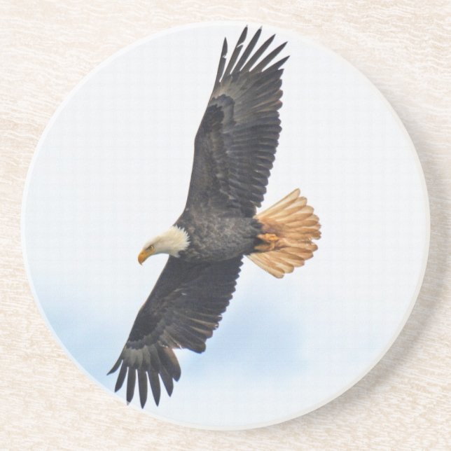 Soaring Bald Eagle Wildife Photo Art Coaster (Front)