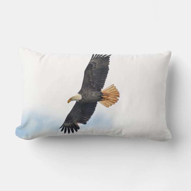 Soaring Bald Eagle Wildife Photo Art Lumbar Cushion (Front)