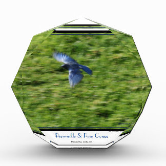 Soaring blue bird across a green field. photo block