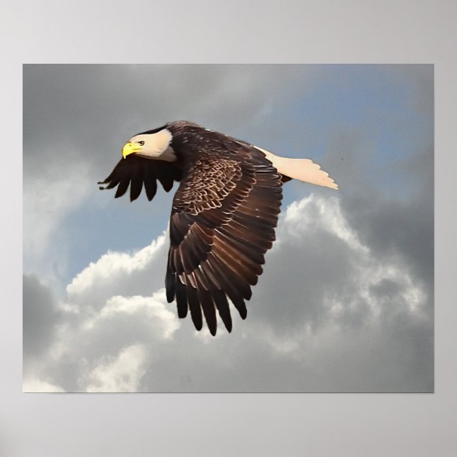SOARING EAGLE POSTER (Front)