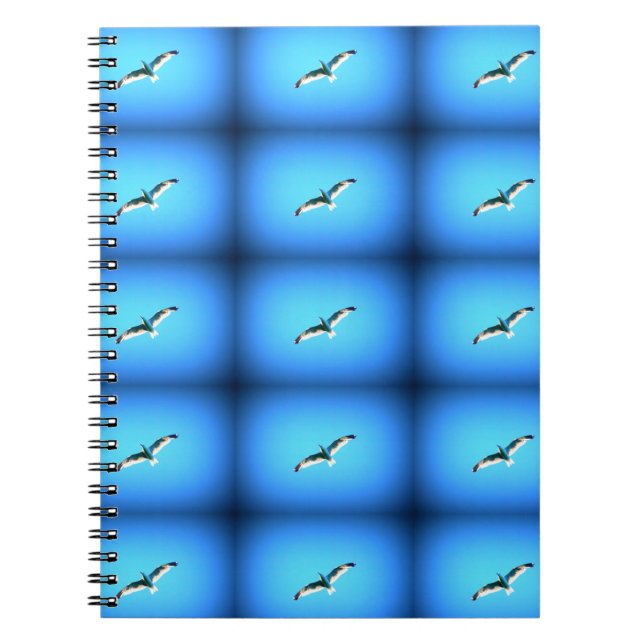 soaring gulls notebook (Front)