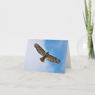Soaring Hawk Note Card