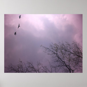 Soaring High is our nature - Toronto Island Sky Poster