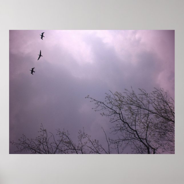 Soaring High  is our nature - Toronto Island Sky Poster (Front)