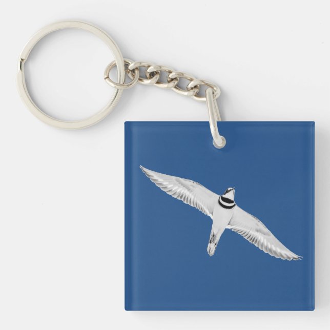 Soaring Killdeer Key Ring (Front)