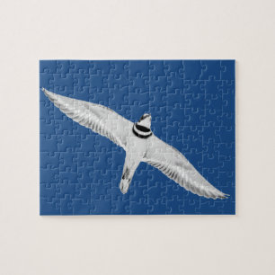 Soaring Killdeer On Blue Jigsaw Puzzle