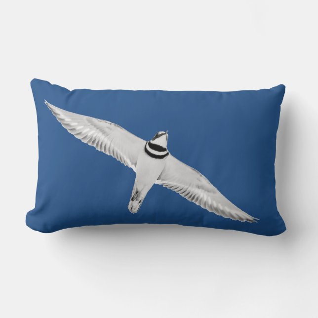 Soaring Killdeer On Blue Lumbar Cushion (Front)