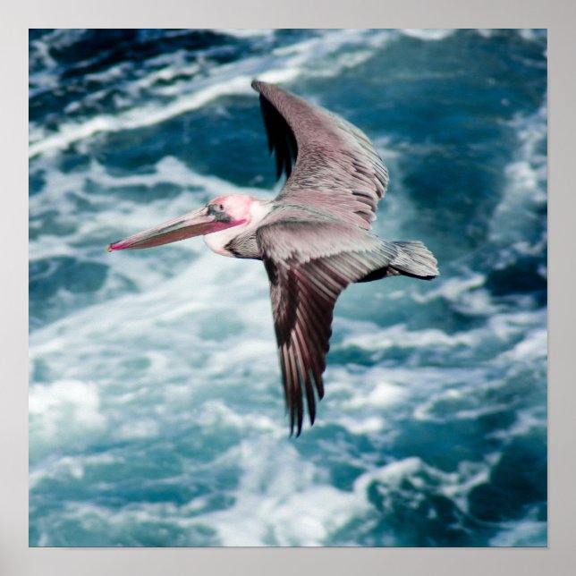 Soaring Poster (Front)