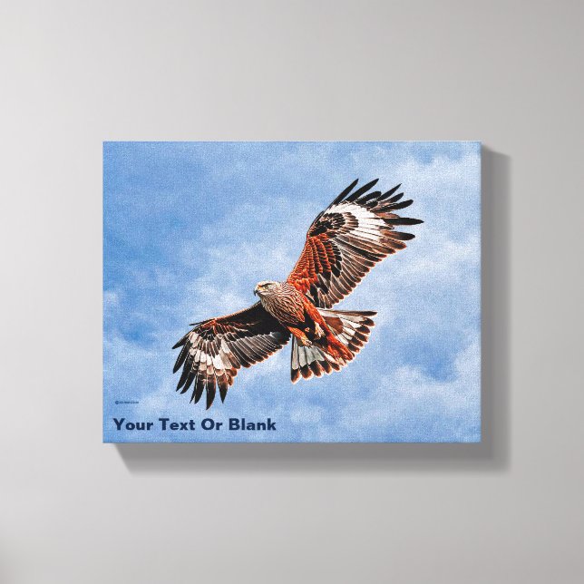 Soaring Red Kite Canvas Print (Front)