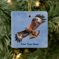 Soaring Red Kite