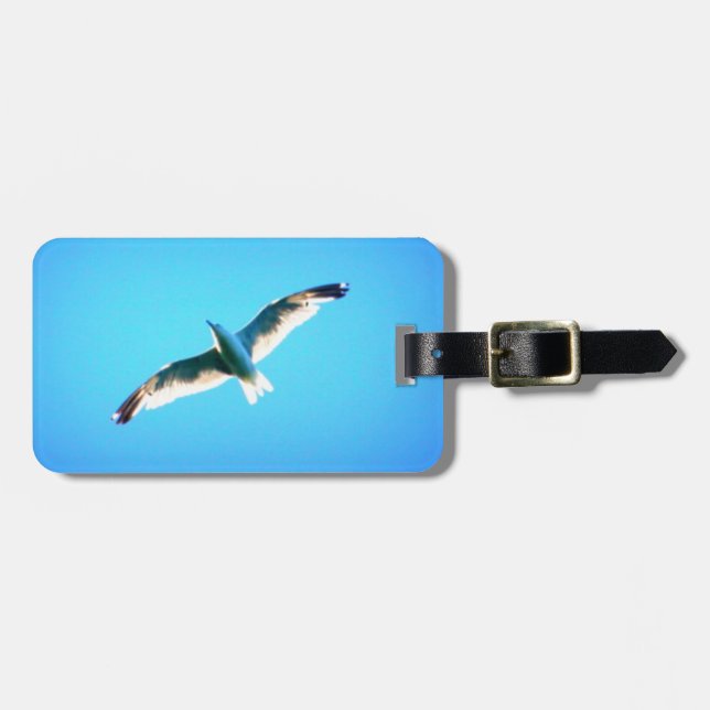 soaring seagull tag (Front Horizontal)
