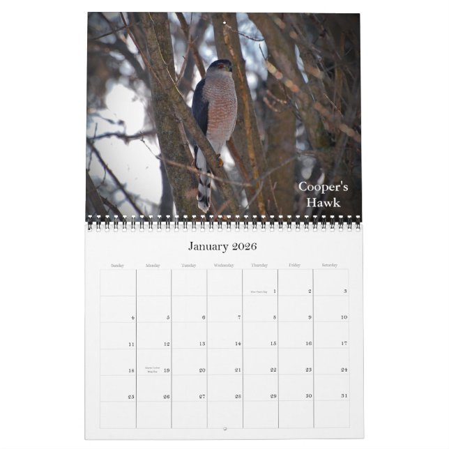 Soaring to New Heights Calendar (Jan 2026)