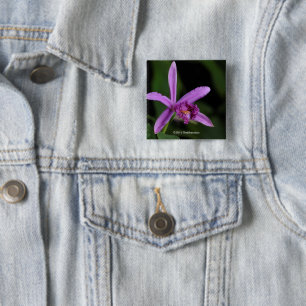 Sobralia Bouchei 15 Cm Square Badge