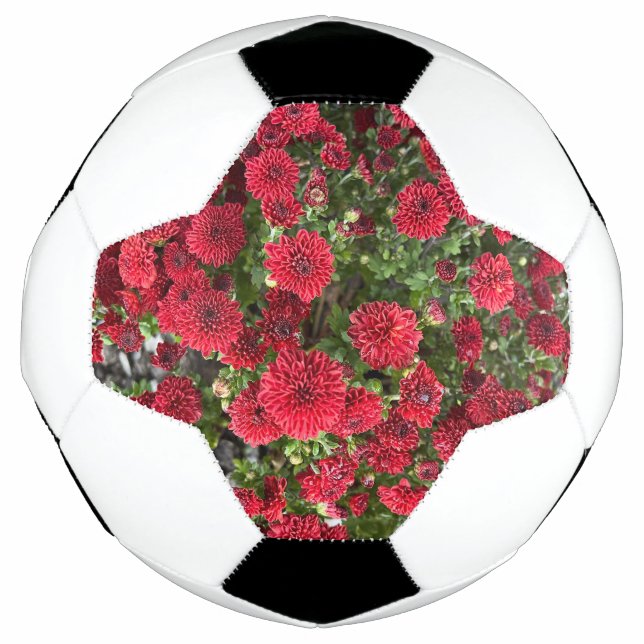soccer ball (Front)