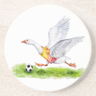 Soccer Goose Coaster