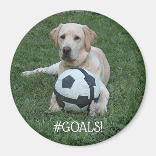 Soccer Lab #GOALS! Magnet