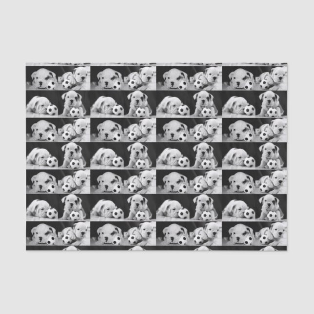 "Soccer Puppies" English Bulldog Collage Tissue Paper (Front)