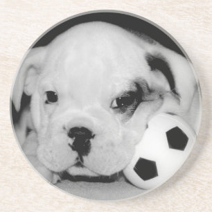 "Soccer Puppy" English Bulldog Coaster