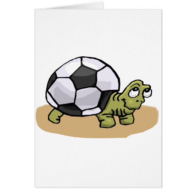 Soccer Turtle (Front)