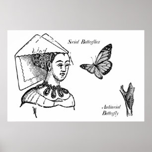 Social Butterflies Poster