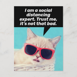 Social Distancing Cat- Encouragement and Coping Postcard