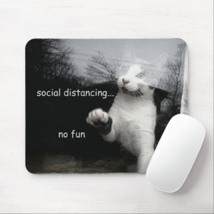 Social Distancing Kitten Mouse Pad