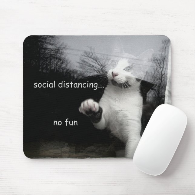 Social Distancing Kitten Mouse Pad (With Mouse)