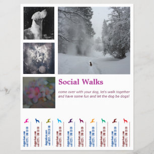 Social Dog walks Ripp Off  Flyer