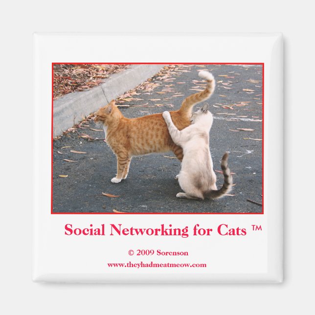 Social Networking for Cats Magnet (Front)