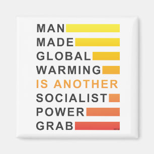 Socialist Power Grab Magnet