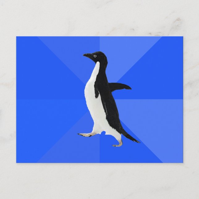 Socially Awkward Penguin ("Customise" to add text) Postcard (Front)