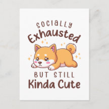 Socially Exhausted But Still Cute - Shiba Inu