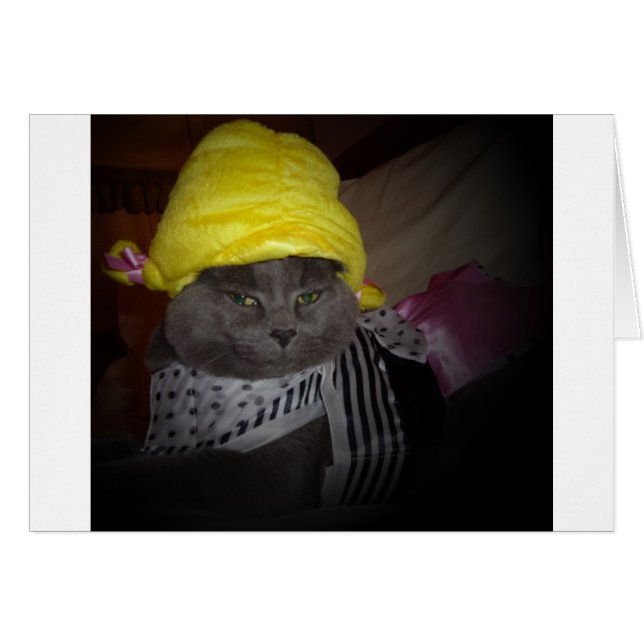 Sock Hop Kitty (Front Horizontal)