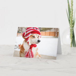 Sock Monkey Hat Corgi blank greeting card