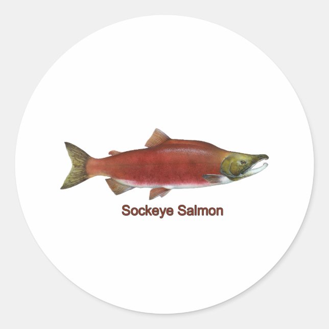 Sockeye - Red Salmon (titled) Classic Round Sticker (Front)