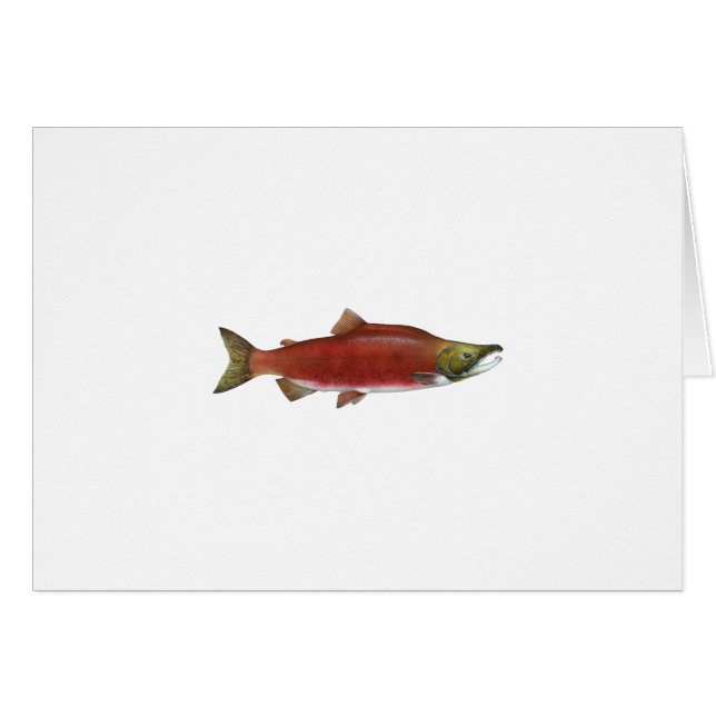 Sockeye Salmon (Front Horizontal)