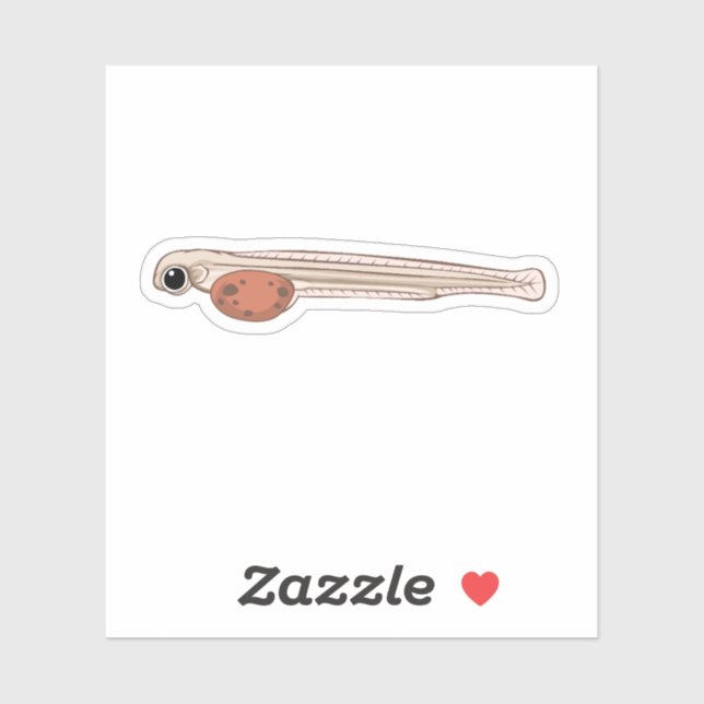 Sockeye Salmon Alevin (Sheet)