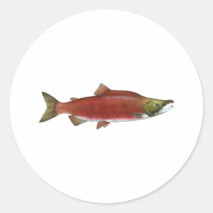 Sockeye Salmon Classic Round Sticker