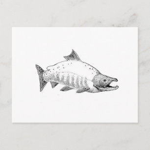 Sockeye Salmon Line Art Postcard