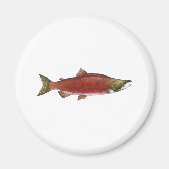 Sockeye Salmon Magnet (Front)