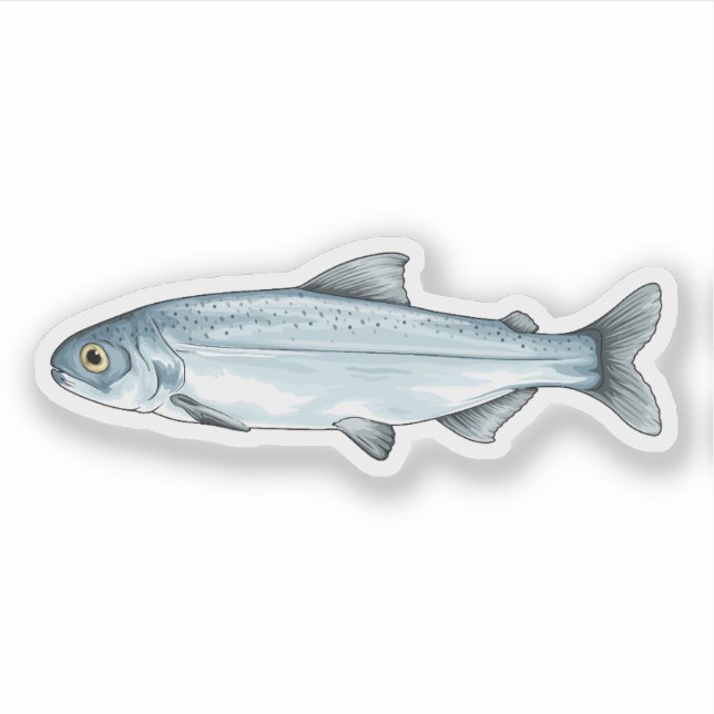 Sockeye Salmon Smolt (Front)