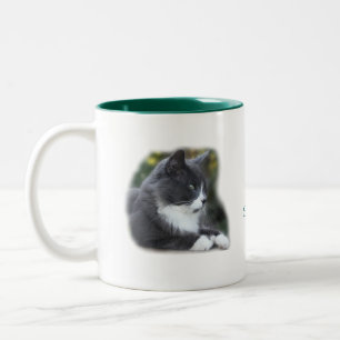 Socks Cat Mug- customise Two-Tone Coffee Mug