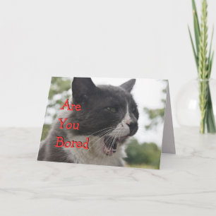 Socks Kitty Yawning-customise Card