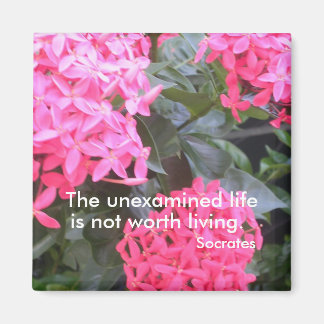 Socrates Motivational Quotation Magnet